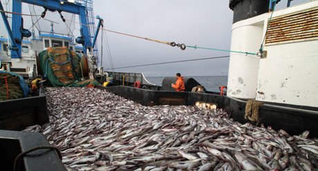 Observers on a fishing boat in Alaska. Credit: NOAA.